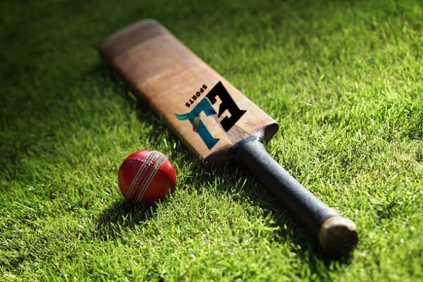 Cricket Bat